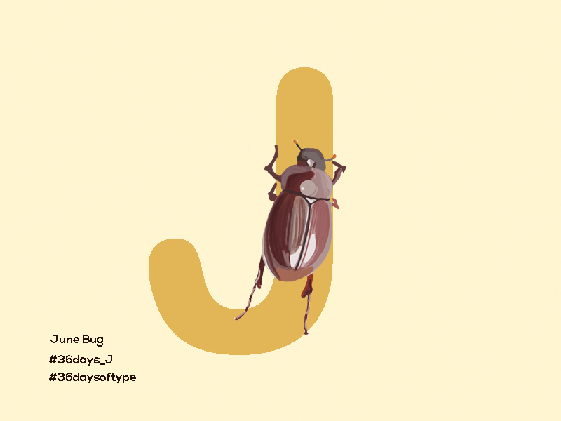 June Bug - 36days Of Type letters design alphabet 36daysoftype junebug insect typography digital painting graphic design illustration pratikartz