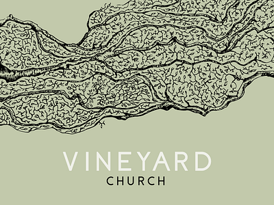 Vineyard branding church illustration typography vines vineyard