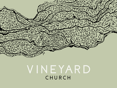 Vineyard