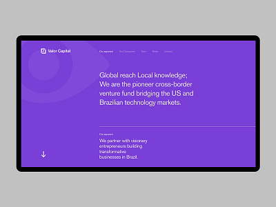 Valor capital — Landingpage grid logo typography ux ui design