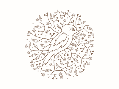Homage to the Kookaburra badge balance birds connection illustrator kookaburra logo nature zen