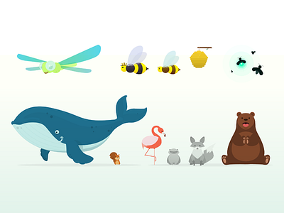 Animals Musical App animals bear bees dragonfly flamingo music app simple squirrel vector whale