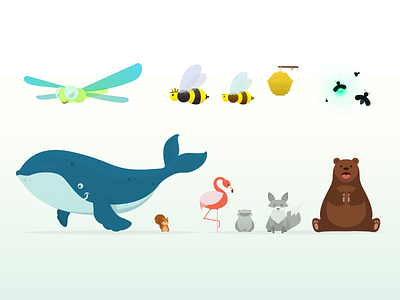 Animals Musical App animals bear bees dragonfly flamingo music app simple squirrel vector whale