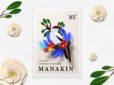 侏儒鸟邮票 插图 设计