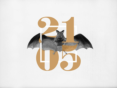 Bat Boy – Poster 2015 artwork bat dsdesign minimal poster typo typo poster typography