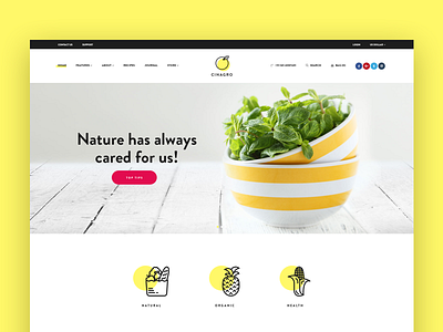 Cinagro - Organic Food Shop Template