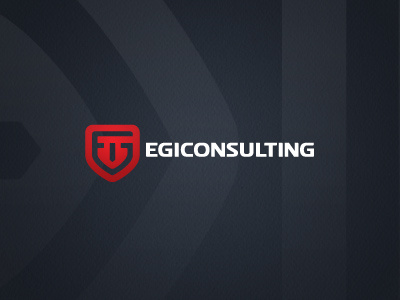 Egi consulting