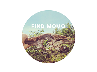 find momo