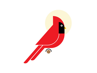 cardinal concept bird cardinal design graphic design illustration mark north carolina vector