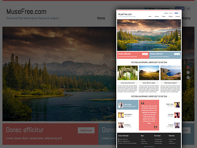 Download Adobe Muse Business Template adobe muse free download muse theme muse widget