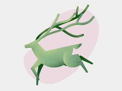 Nature Antlers