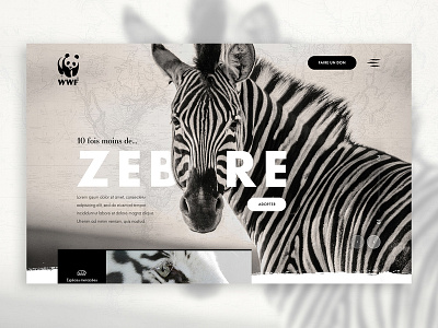 WWF Concept