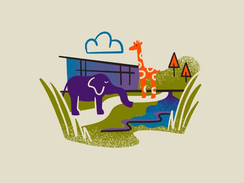Valley Zoo giraffe colourful citymaps landmarks graphicdesign women of illustration gritty texture digital spotillustration procreate illustration