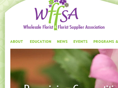 WFFSA website redesign