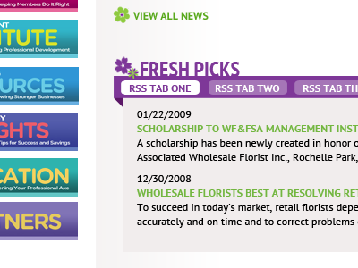 WFFSA website redesign design refresh tcs software web website