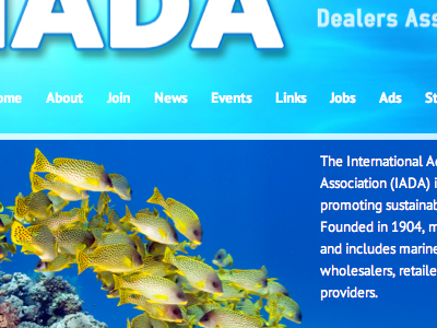 Redesign of IADA demo site design refresh tcs software web website