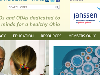 OPPA website redesign design refresh tcs software web website
