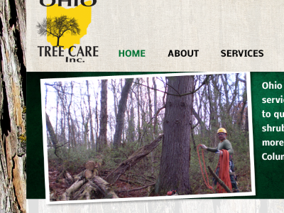 Ohio Tree Care website redesign design refresh web website