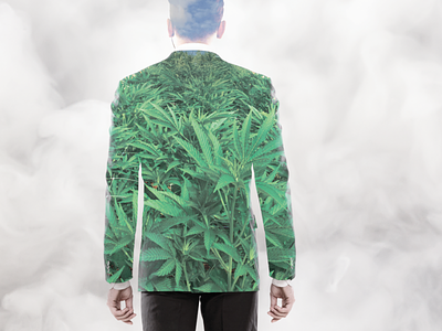Marijuana millionaire - Editorial report imagery
