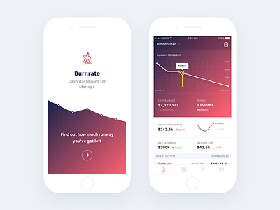 Burnrate iOS concept app burnrate experience fintech interface ios mobile product red ui ux white