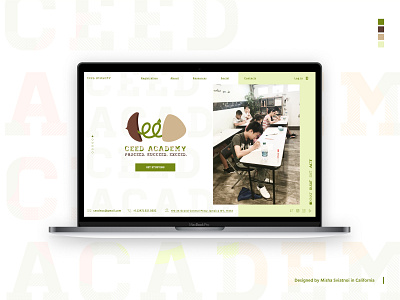 Website for Ceed Academy clean education fresh green typography web white