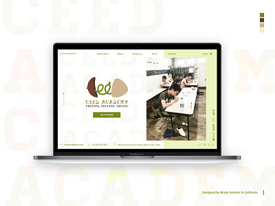 Website for Ceed Academy