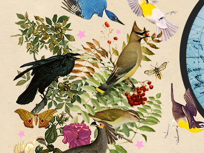 GGGG 1 available biodiversity birds collage designer earth ecology for hire freelance