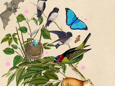 GGGG 2 available biodiversity birds collage designer earth ecology for hire freelance