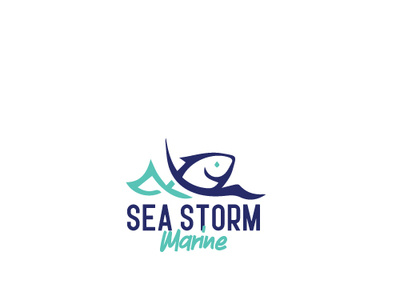 sea storm marine