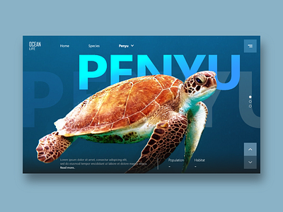 Ocean Life Landing Page