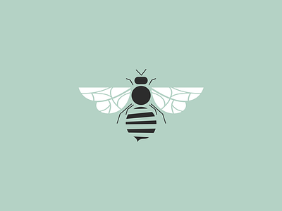Bee Illustration be kind bee bee hive bee kind chattanooga chiropractor illustration social media design spine wings