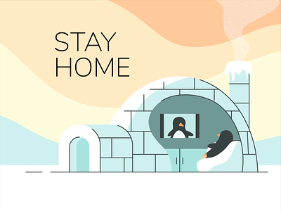 Stay Home 2d 2danimation after effects animation home igloo illustration illustrator motion motion design penguin vector