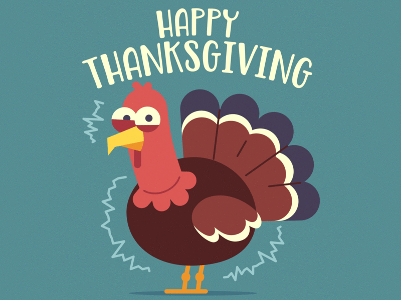 Happy Thanksgiving! 2d 2d animation after effects animation character design design illustration illustrator thanksgiving turkey vector