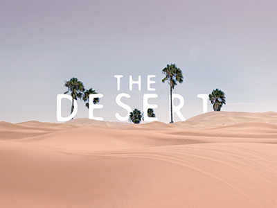 The Desert Series Graphic dry palms sandy series southland students summer trees
