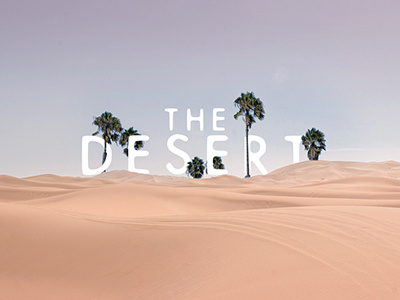 The Desert Series Graphic