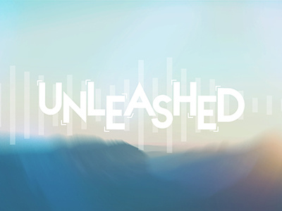 Unleashed Year End Giving