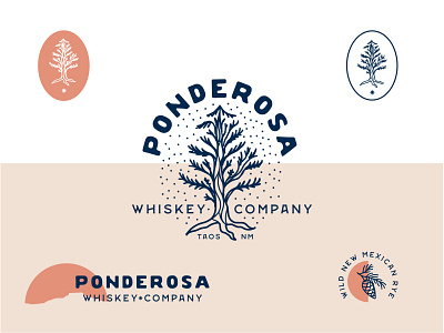 Whiskey Brand | Concept branding design illustration illustrator logo southwest trees vector