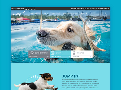 DockDogs Design Concept