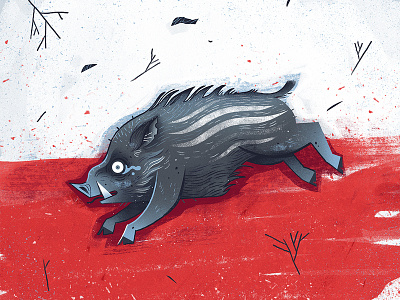 Boar boar dudzik illustration izadudzik poland