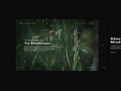 Yin Mindfulness Immersion