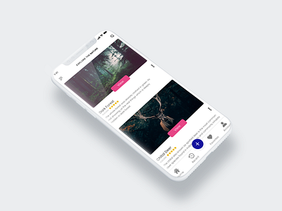 Wildlife APP Design - Home Screen