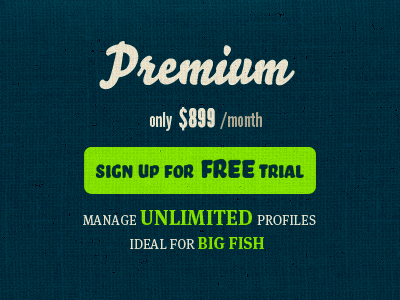 Pricing - premium category top blue design green page pricing texture typography ui web