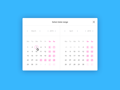 Date Range Picker