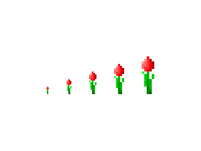 More beauty! 8th march flower pixel