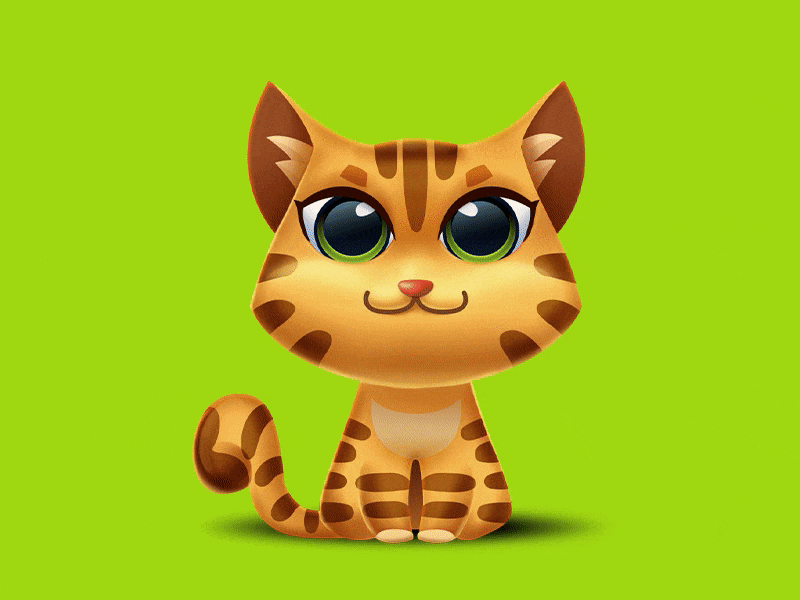 Cat Stickers 🐱 animation cat chat emoji imessage ios10 sticker