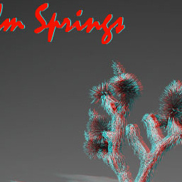 Palmsprings