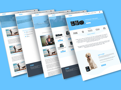 Perspective Dog Food Web Design branding creative design design mockup web design website design