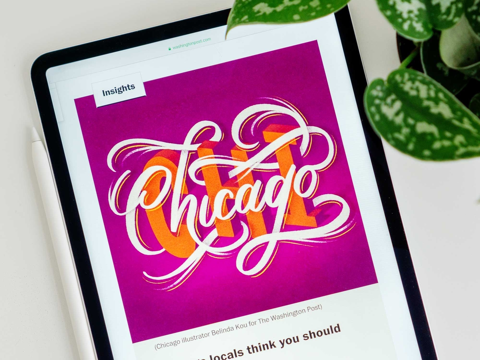 Chicago Lettering for the Washington Post chicago design dimensional type freelance illustrator freelancer hand lettering illustration lettering purple script typography
