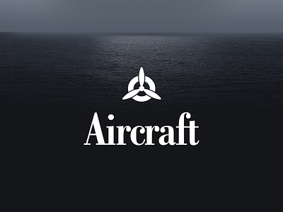Aircraft brand branding design logo typography web