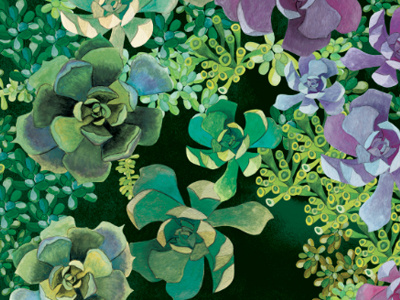 Succulent illustration collage green illustration pattern watercolor